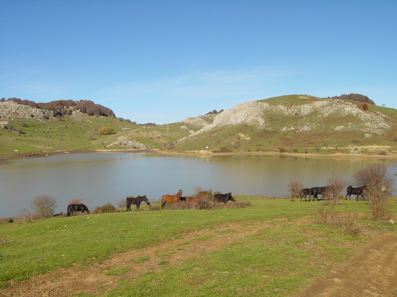 il-biviere-parco-dei-nebrodi