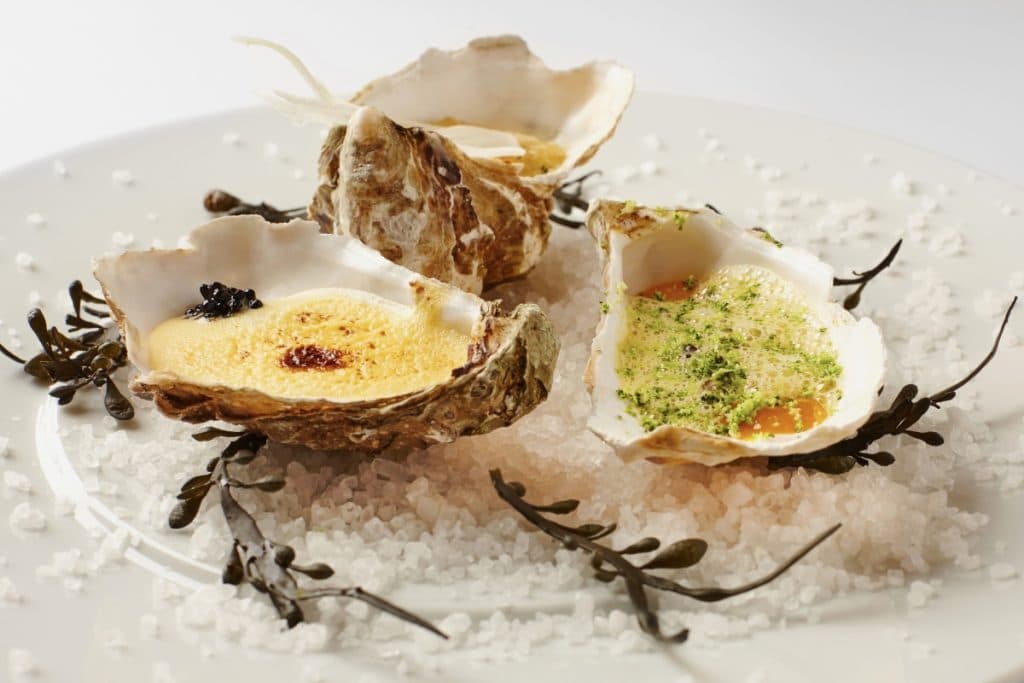 shutterstock_307694519-1-1024×683-1